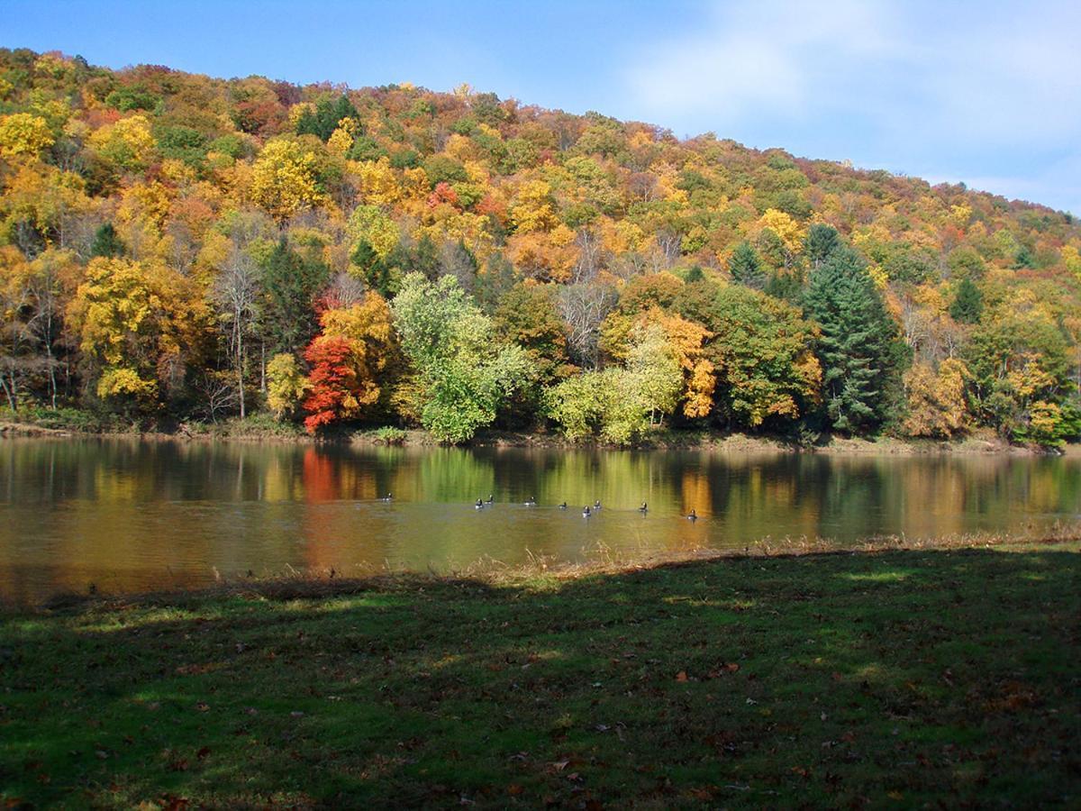 Spacious Home With Deck, Grill And Delaware River View Callicoon المظهر الخارجي الصورة